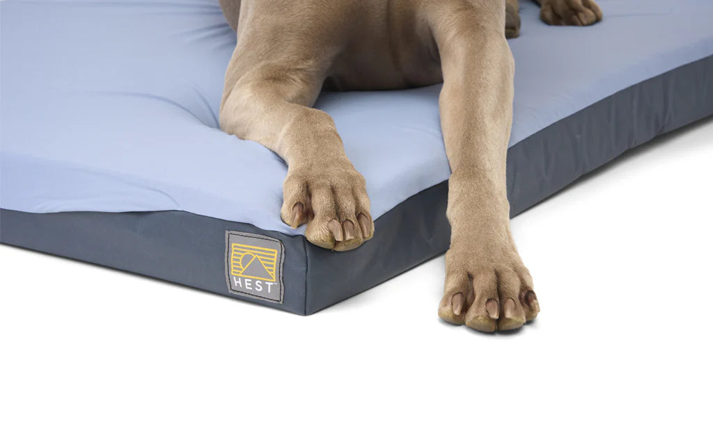 HEST DOG BED